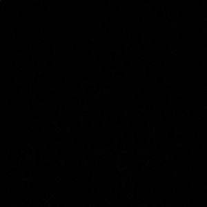 Meet your Posher, Jack